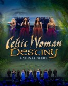 Celtic Woman: Destiny Free Download