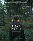 Dawn Chorus Free Download