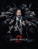 poster_john-wick-chapter-2_tt4425200.jpg Free Download