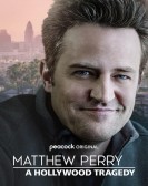 Matthew Perry: A Hollywood Tragedy Free Download