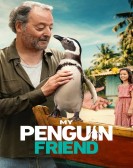 poster_my-penguin-friend_tt8609660.jpg Free Download