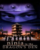 Ninja in the Dragon's Den Free Download