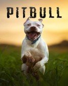 poster_pitbull_tt8485452.jpg Free Download