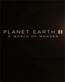 poster_planet-earth-ii-a-world-of-wonder_tt6361166.jpg Free Download