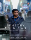 Sensory Overload Free Download