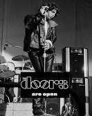 The Doors: The Doors Are Open Free Download