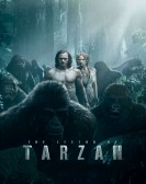 poster_the-legend-of-tarzan_tt0918940.jpg Free Download