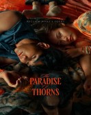 poster_the-paradise-of-thorns_tt32362515.jpg Free Download