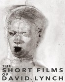 poster_the-short-films-of-david-lynch_tt0357173.jpg Free Download