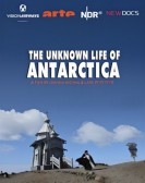 poster_the-unknown-life-of-antarctica_tt9856064.jpg Free Download