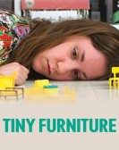 Tiny Furniture Free Download