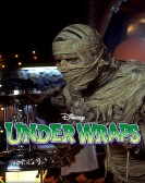 Under Wraps Free Download