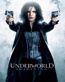 Underworld: Awakening (2012) Free Download