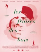 Wild Strawberries poster