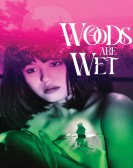 Woods Are Wet Free Download