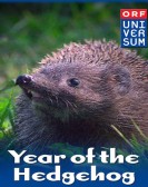 Year of the Hedgehog Free Download