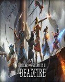 Pillars of Eternity II Deadfire Free Download