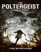 The Poltergeist of Borley Forest (2013) Free Download