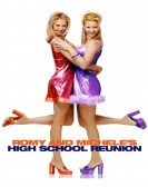 Romy and Michele's High School Reunion (1997) poster