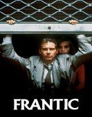 Frantic Free Download