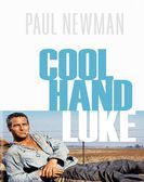 Cool Hand Luke (1967) Free Download
