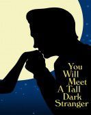 You Will Meet a Tall Dark Stranger Free Download