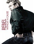 Rebel Without a Cause (1955) Free Download