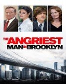 The Angriest Man in Brooklyn (2014) Free Download