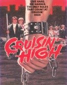 Cruisin' High (1976) poster