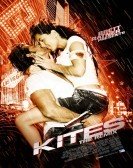 Kites (2010) Free Download