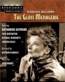 The Glass Menagerie (1973) poster