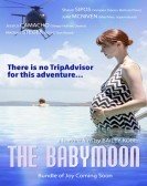 The Babymoon (2017) poster