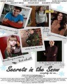 Secrets In The Snow (2013) poster