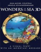 Wonders of the Sea (2017) Free Download