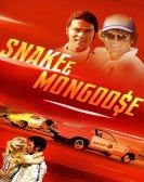 Snake & Mongoose (2013) Free Download