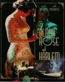 Black Rose of Harlem (1996) Free Download