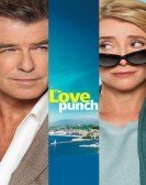 Love Punch (2013) Free Download