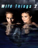 Wild Things 2 (2004) Free Download