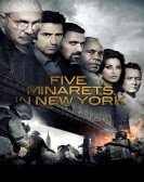 Five Minarets in New York (2010) Free Download