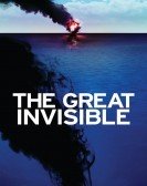 The Great Invisible (2014) Free Download