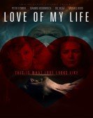 Love of My Life (2013) poster