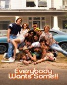 Everybody Wants Some!! poster