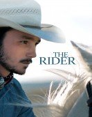 The Rider (2017) Free Download