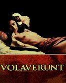 Volavérunt (1999) Free Download