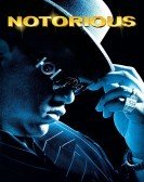 Notorious (2009) Free Download