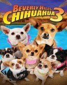 Beverly Hills Chihuahua 3 - Viva La Fiesta! (2012) Free Download