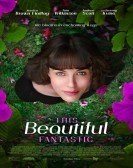 This Beautiful Fantastic (2017) poster