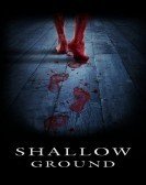 Shallow Ground (2005) poster