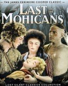 The Last of the Mohicans (1920) poster