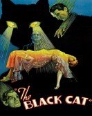 The Black Cat (1934) poster